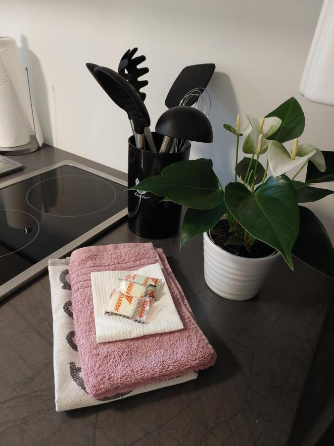 Helles Modern Eingerichtetes Apartment Halle  Exteriér fotografie